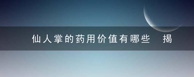 仙人掌的药用价值有哪些 揭秘仙人掌9大功效与作用